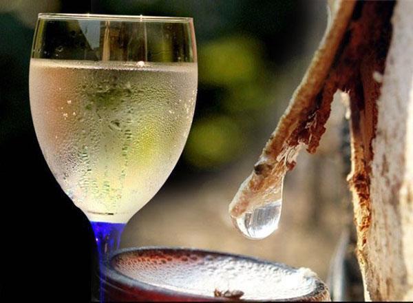 vino od soka breze spremno za piće