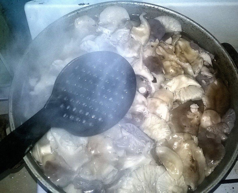 champignons koken