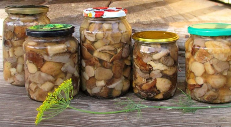 recept za ukiseljene stepske gljive s začinjenom marinadom