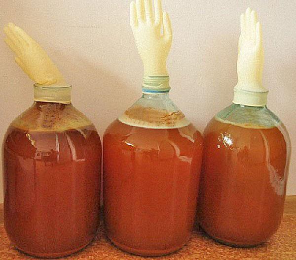 fermentacija soka od jabuke