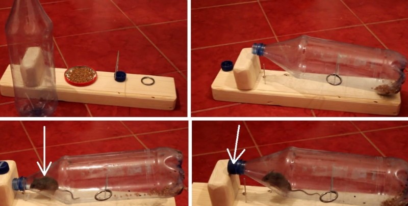 video zamka za miša od plastične boce