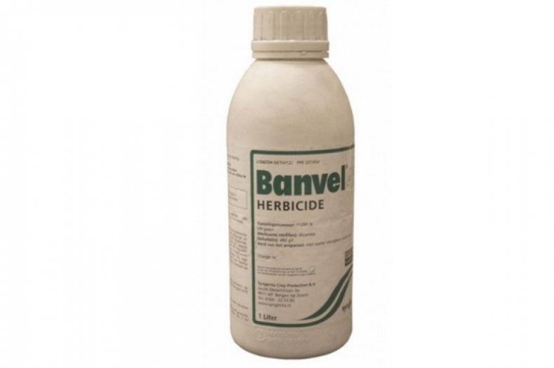 kako koristiti herbicid banvel