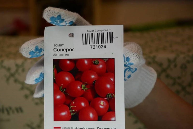 sjemenke rajčice iz trgovine
