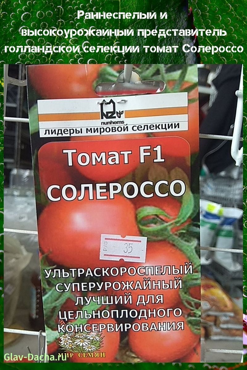 Solerosso-tomaat