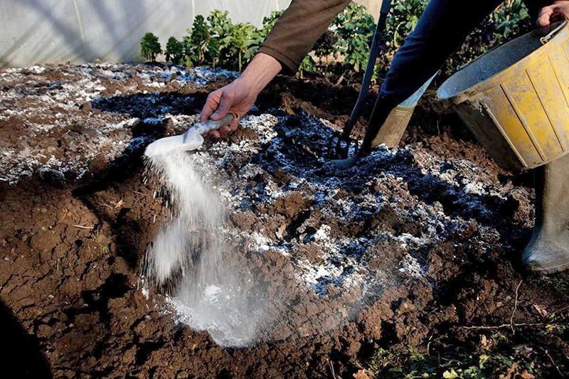 deoxidatie van grond in de herfst met kalk