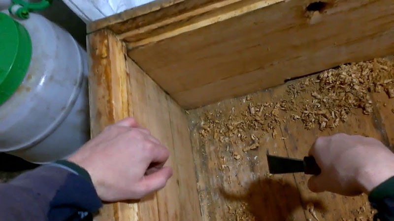 priprema košnice za ugradnju pčelinjeg paketa