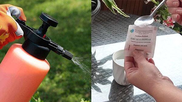 oplossing voor het bewateren van bloempotten