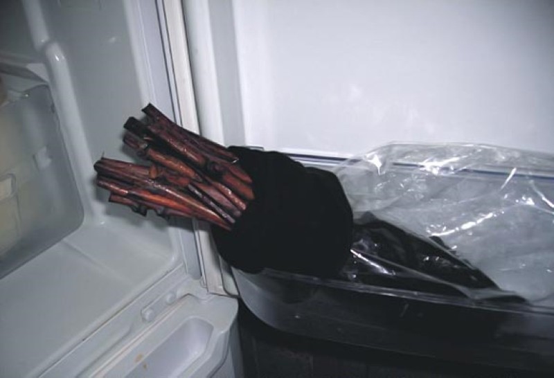 čuvanje reznica u hladnjaku