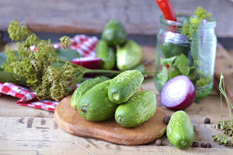 klassiek recept voor licht gezouten komkommers