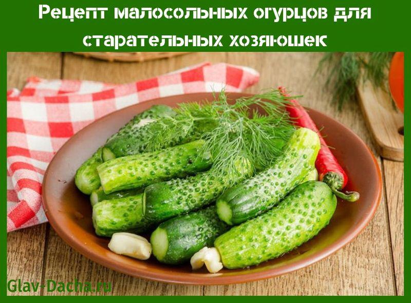recept voor gezouten komkommers