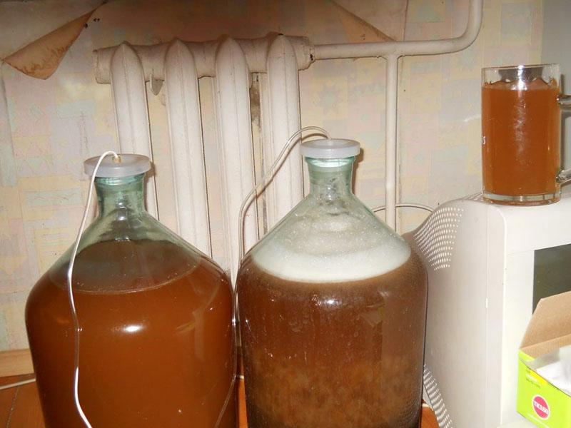 mede fermentatieproces
