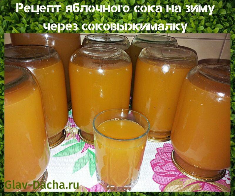 recept za sok od jabuke za zimu kroz sokovnik