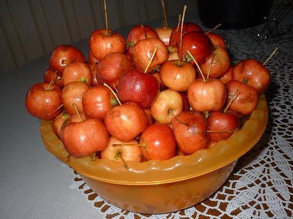mijn appels