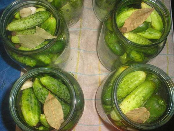 potten vullen met komkommers