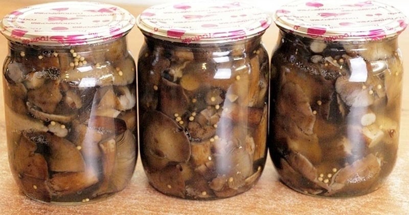 recepti za kiseljenje mišjih gljiva sa senfom