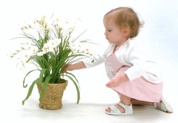 cvijeće opasno za dijete