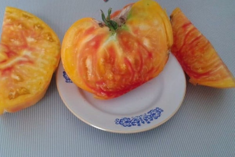 voće rajčica grejp