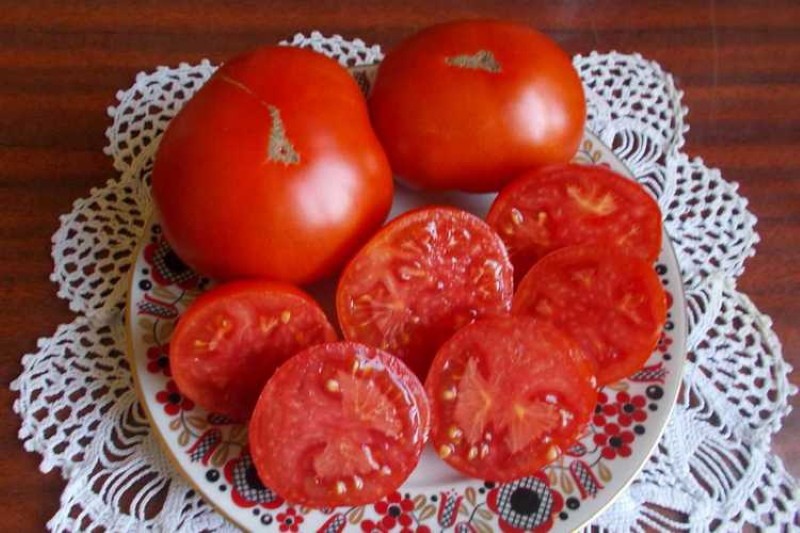 tomaat fruit Mongoolse dwerg