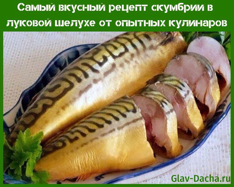 het lekkerste recept voor makreel in uienschillen