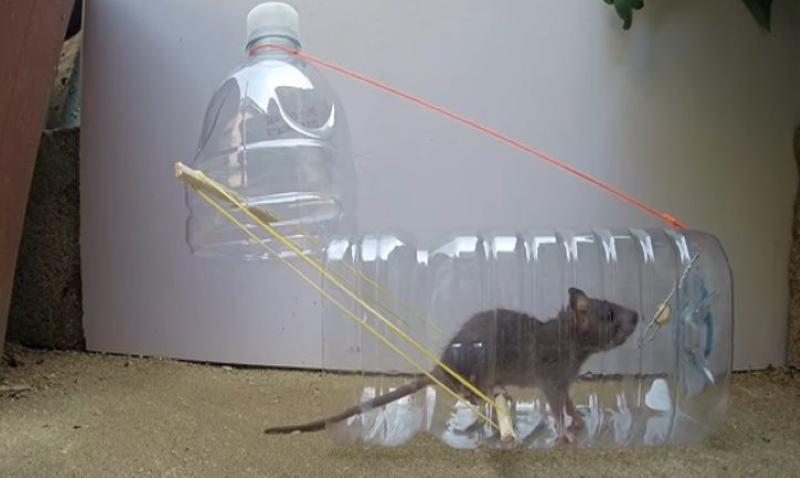 zelfgemaakte muizenvallen uit een plastic fles