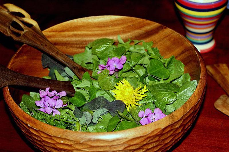 jestiva cvjetna salata