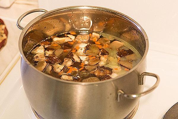 kuhajte gljive u pilećoj juhi