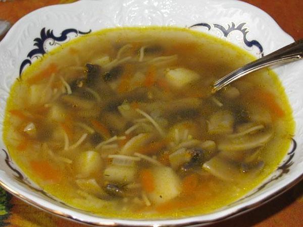 juha od gljiva s pilećom juhom