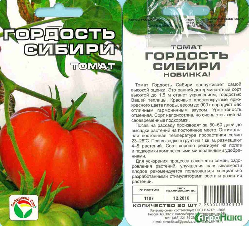 rajčica za staklenik ponos Sibira
