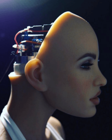 Az olyan vállalatok, mint a Realbotix, olyan szexrobotokat hoztak létre, amelyeket az AI teljesen automatizál, és radikális új funkciókat tartalmaz - például felmelegedett kamrákat és különféle személyiségjegyeket.