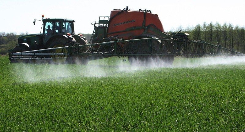 behandeling van tarwe van onkruid met herbiciden