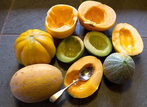 Meloen helpt de darmen te reinigen