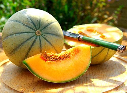 Meloen wordt 2 uur na een maaltijd geconsumeerd.