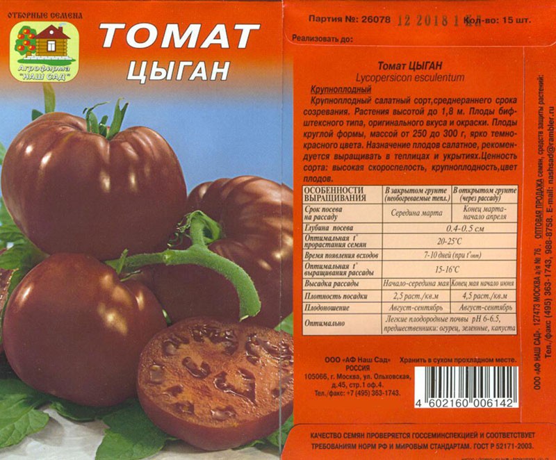 ciganska rajčica