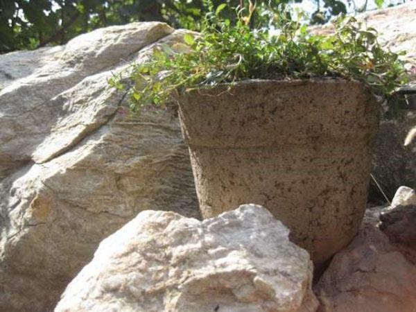 eenvoudige plantenbak van cement