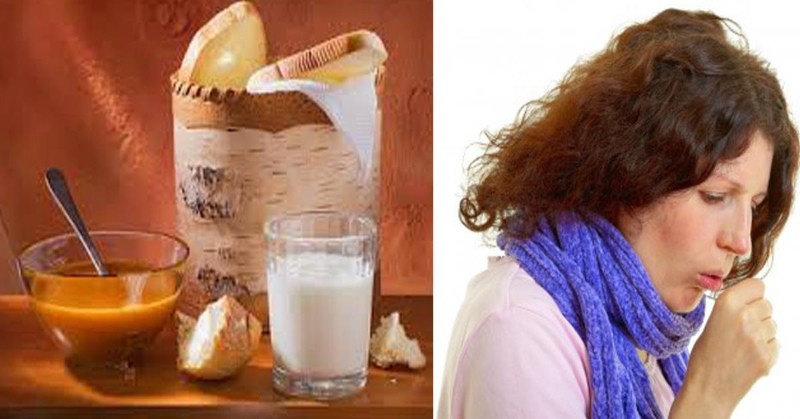 geneeskrachtige eigenschappen van propolis melk