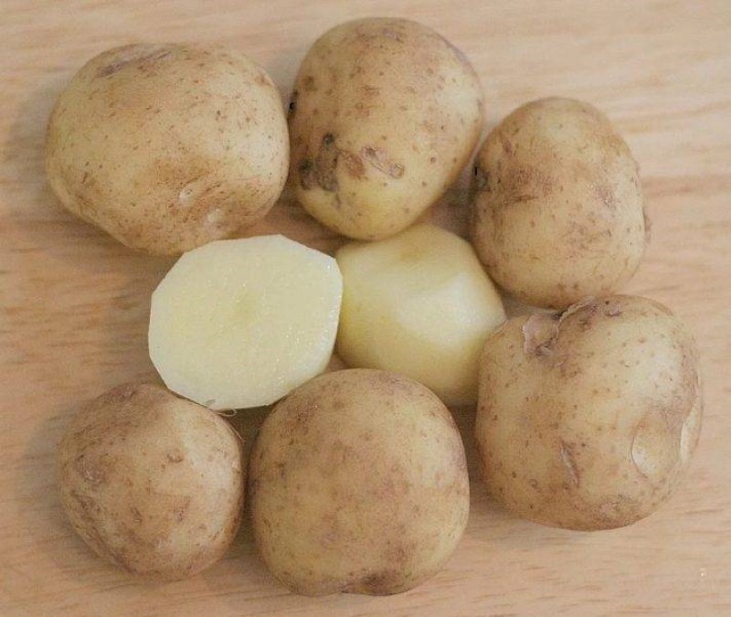 aardappelknollen lorch