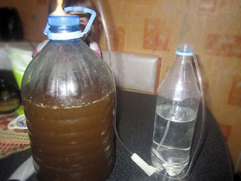 proces fermentacije medovine