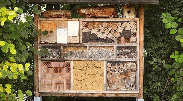 izgradnja kuće za pojedinačne pčele