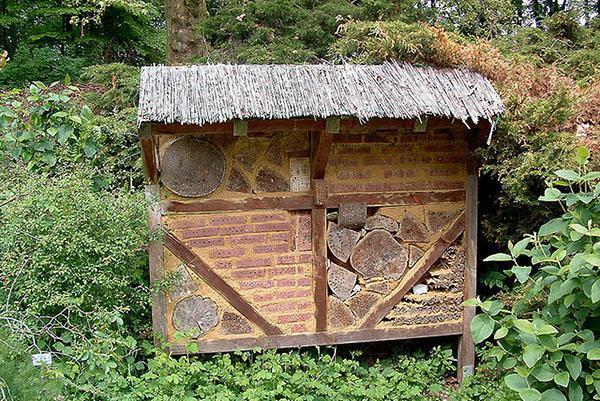 kuća za pčele u šumi