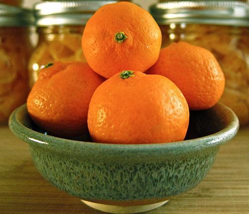Zdravo ulje dobiva se iz plodova mandarine