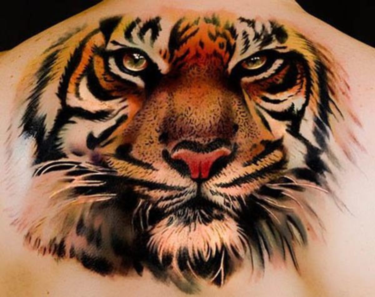 kunstner-andrea_afferni-realistisk-tiger-tatovering_0011347701737