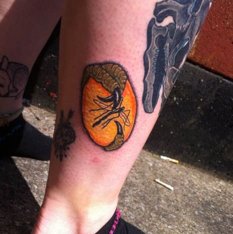 Szereted, ahogy Aimee Bray tetoválásán ragadozó karmok tartják a borostyánt.