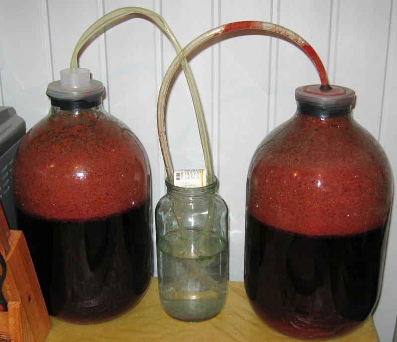 postupak fermentacije domaćeg vina