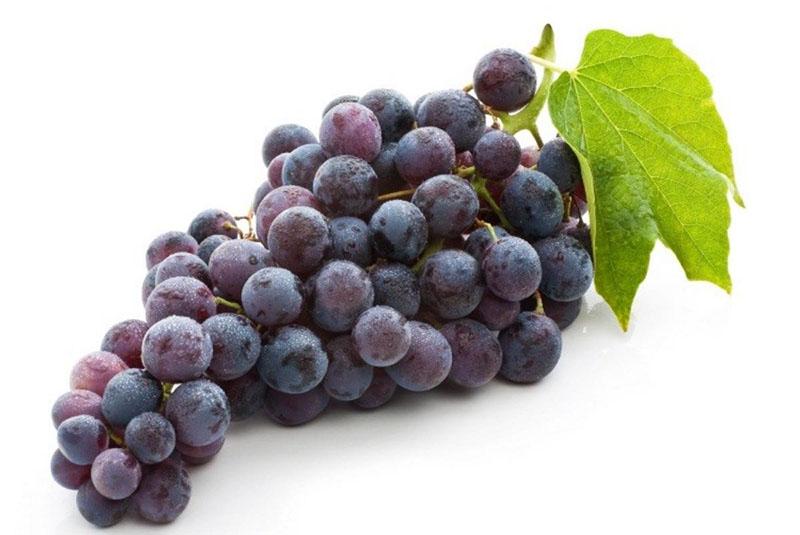 rijpe tros druiven