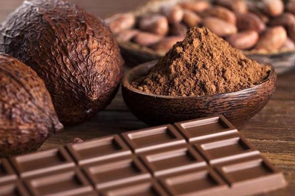 cacao fruitboom en poeder