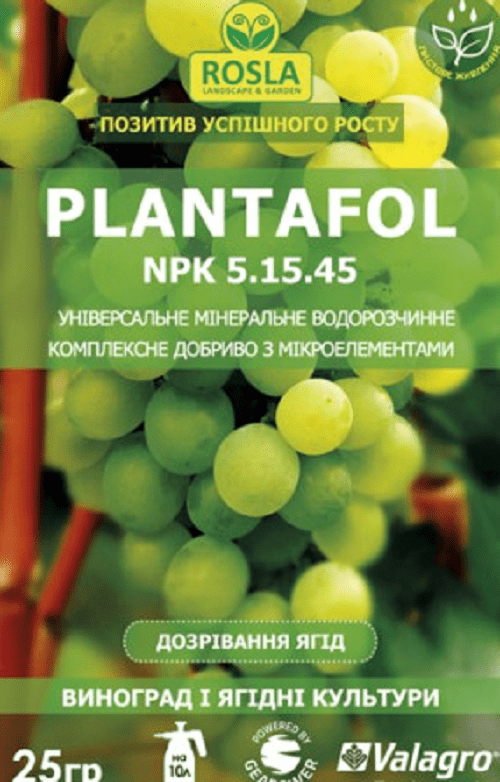 plantafol za bobičasto voće