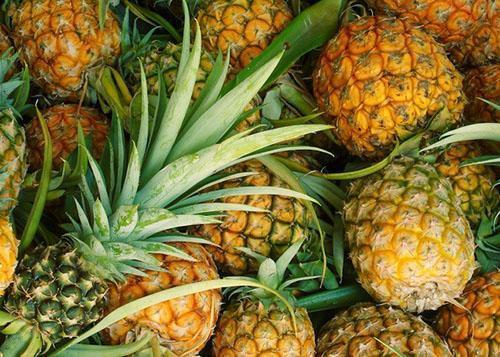 Zrelo voće ananasa proizvodi ukusan, niskokalorični sok