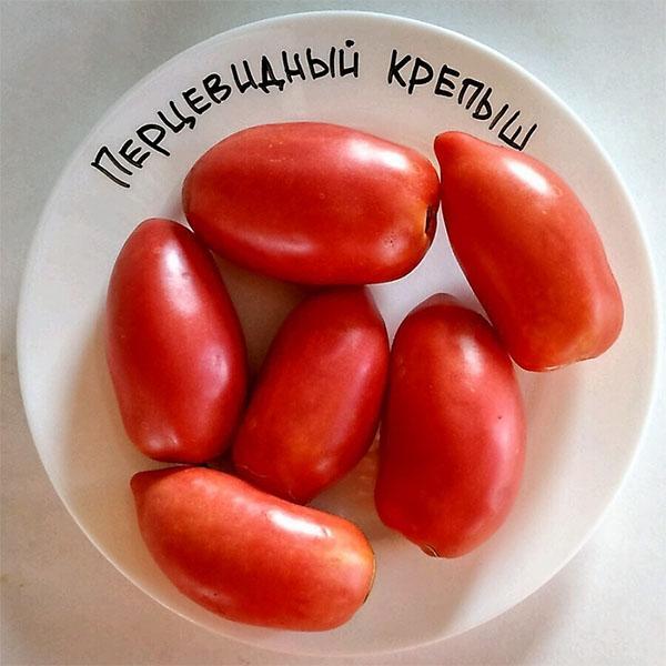 rajčica u obliku papra čvrsta