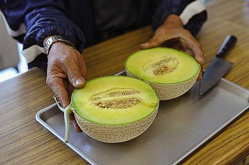 Diabetici kunnen onrijp meloenfruit consumeren