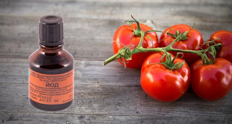 Waarom hebben tomaten jodium nodig?